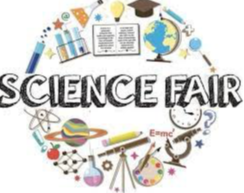 Profiles on Science Fair Students